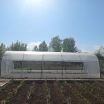 tineri solarii România