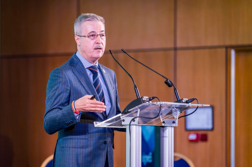 analiza înmatriculări auto noiembrie 2025