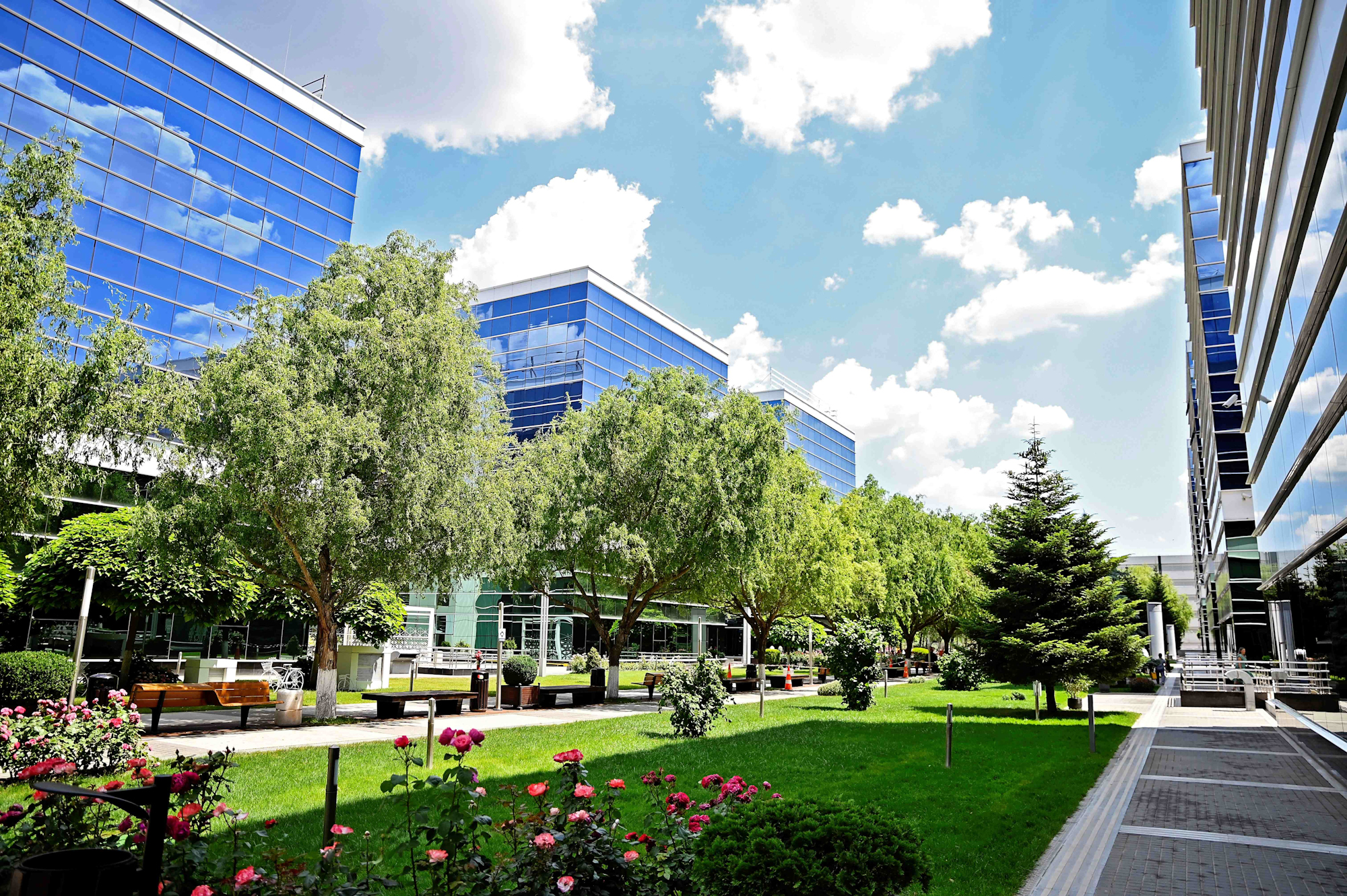 Genesis Property leasing manager